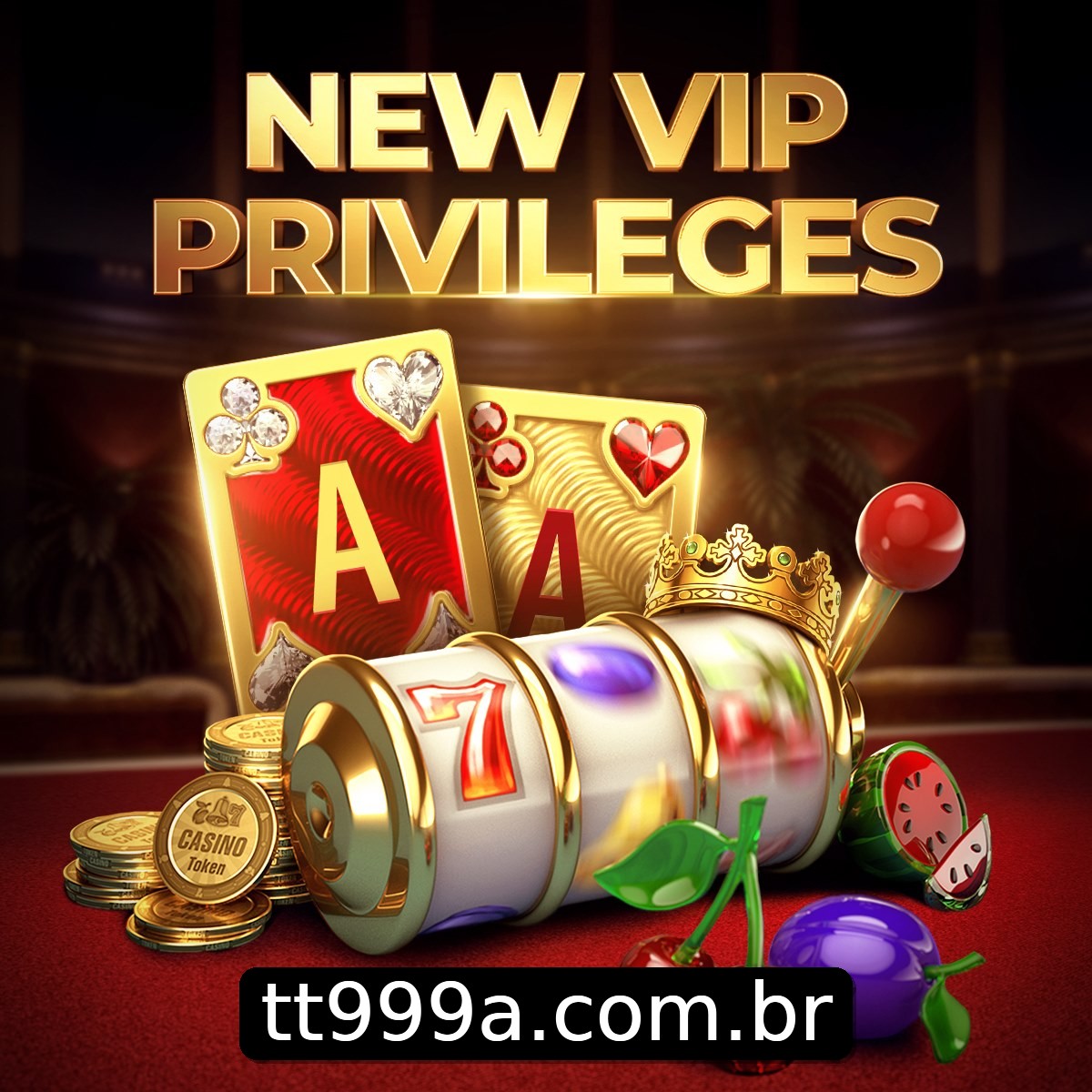 Programa VIP tt999